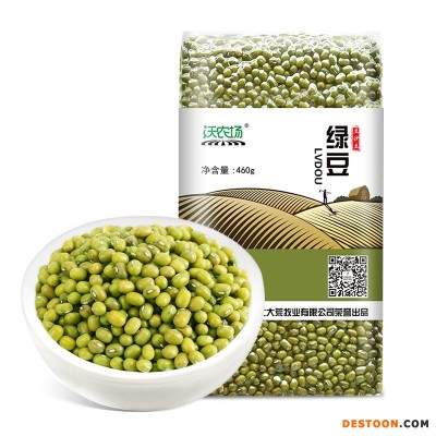 北大荒东北绿豆厂家 品牌黑土地绿豆批发