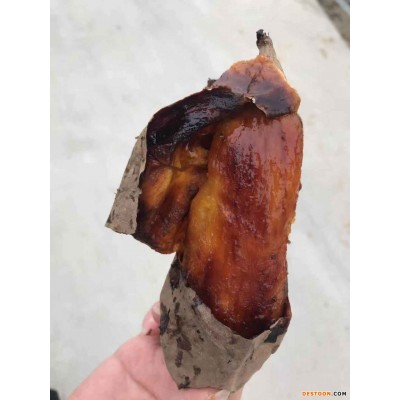 烟薯25号红薯 地瓜 番薯