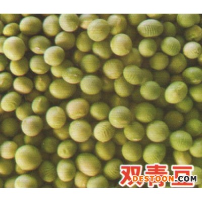 双青豆