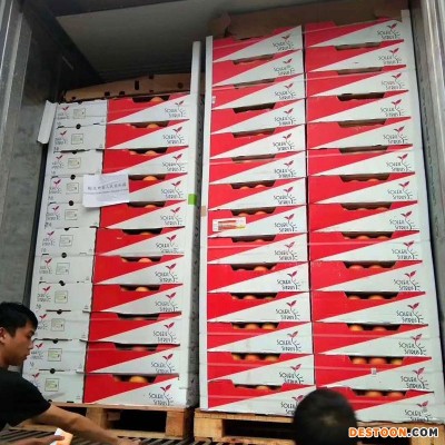 广州江南水果交易市场现货供应一手货源进口水果葡萄柚南非西柚原箱30斤批发