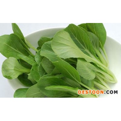 优质速冻食材批发蔬菜批发大朗蔬菜配送
