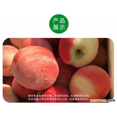 农场直供 山东蜜桃 5斤净果装 现摘现发 40包邮到家