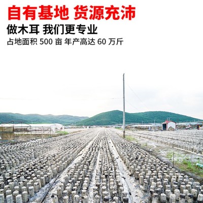【森宝源】压缩木耳干货东北新货小碗耳秋季小木耳厂家直销批发图2