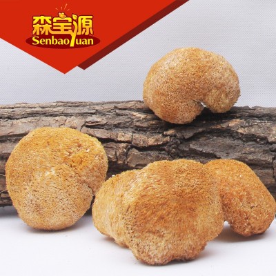 森宝源东北特产猴头菇干货袋装农家猴头菌无熏硫新货菌菇厂家批发图2