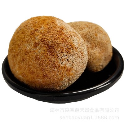 森宝源东北特产猴头菇干货袋装农家猴头菌无熏硫新货菌菇厂家批发图4