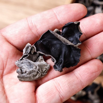 贵丰东北特产黑木耳农产品干货500g干木耳肉厚易泡发品质黑木耳图4