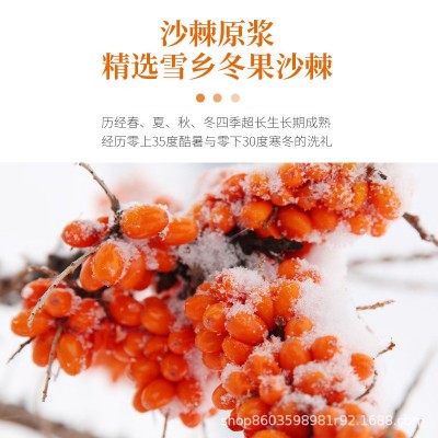 圣宝泰冬果沙棘汁雪乡果汁饮料整箱网红维C饮品生榨原浆100%原图5