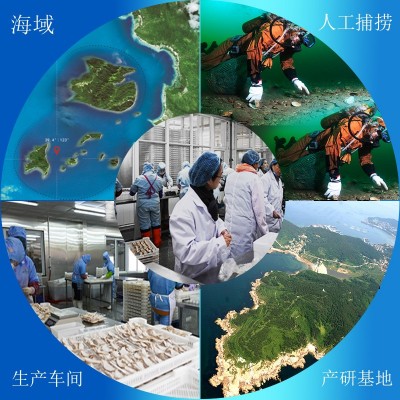 工厂批发青虾仁原料白虾仁10公斤/箱 冷冻虾仁 酒店食材批发 20盒起批图4