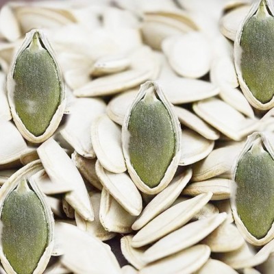 桦宝大粒生南瓜子葫芦籽角瓜籽新货厂家批发瓜子散装白瓜籽批发 25千克起订