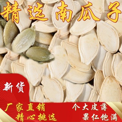 桦宝大粒生南瓜子葫芦籽角瓜籽新货厂家批发瓜子散装白瓜籽批发 25千克起订图3
