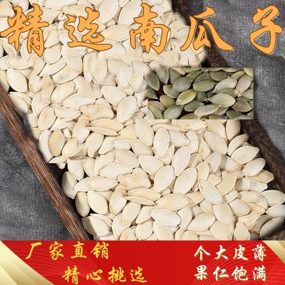 桦宝大粒生南瓜子葫芦籽角瓜籽新货厂家批发瓜子散装白瓜籽批发 25千克起订图4