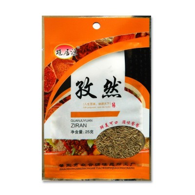 厂家直供一手货源小包装调味品烧烤用调料孜然招代理经销商 100袋起批