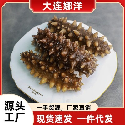 即食刺参海参大连特产辽参500g鲜活渗干货大连海参盒装特价图5