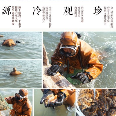 禾夕堂淡干9A 大连淡干海参干货50g海刺参辽参非即食海参礼盒批发图4