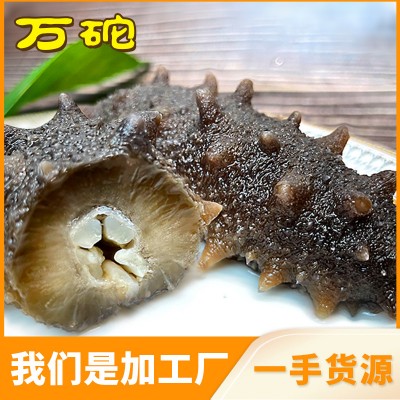 海参厂家批发 大连海参辽刺参非海参干货劲道口感即食海参500g