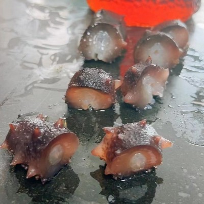 厂家直供现货大连冻煮海参辽参非海参干货刺参大连冻煮即食海参图4
