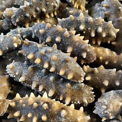 厂家直供现货大连冻煮海参辽参非海参干货刺参大连冻煮即食海参图2