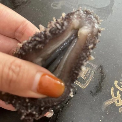 厂家直供现货大连冻煮海参辽参非海参干货刺参大连冻煮即食海参图3
