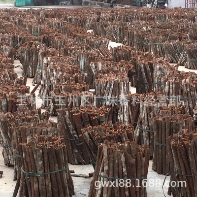2022年新货广西桂皮肉桂玉桂水洗桂通中通统大通香料大料卤500克图3