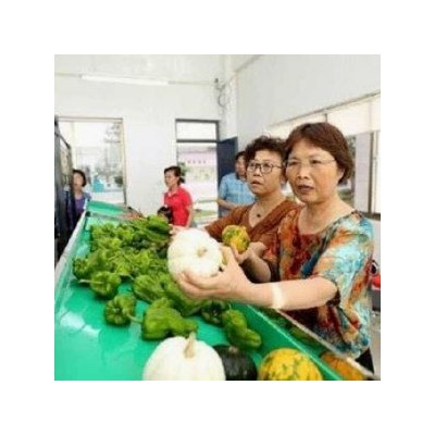 阿波蔬菜店加盟图4