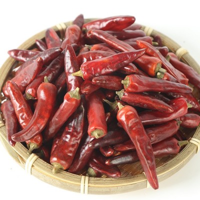 重庆特产 石柱红3号干辣椒 特香特辣 新货 卤菜火锅调味品500g图2