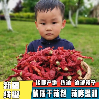 【无把】新疆辣皮子干辣椒批发辣椒二荆条皱皮椒线椒纵椒500g图2