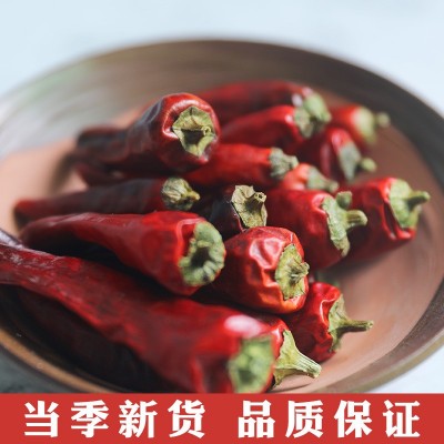 香辣福建古田辣椒王干辣椒朝天椒周黑鸭久久鸭脖卤料批发5斤包邮图2