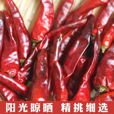 香辣福建古田辣椒王干辣椒朝天椒周黑鸭久久鸭脖卤料批发5斤包邮图3