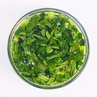 圣益田园 脱水香菜 香菜干 脱水蔬菜干批发 芫荽 厂家批发直销图5