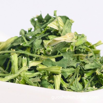 圣益田园 脱水香菜 香菜干 脱水蔬菜干批发 芫荽 厂家批发直销图2