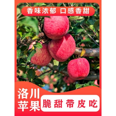 苹果图4