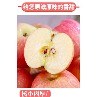 苹果图3