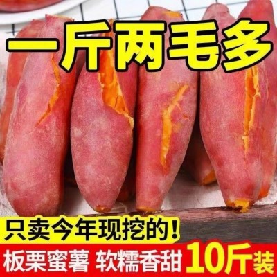 红薯图3