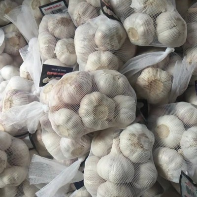 产地garlic 山东大喜食品供应出口级别大蒜规格齐全5/5.5/6.0CM图4