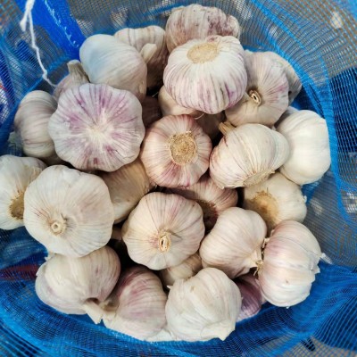 产地garlic 山东大喜食品供应出口级别大蒜规格齐全5/5.5/6.0CM图2