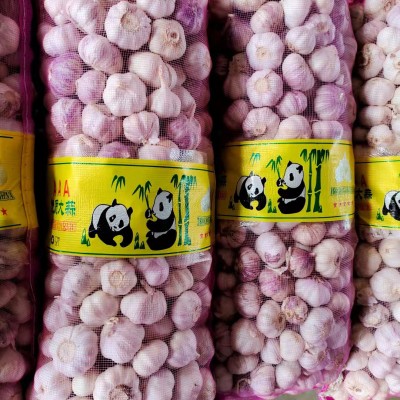 产地garlic 山东大喜食品供应出口级别大蒜规格齐全5/5.5/6.0CM图3