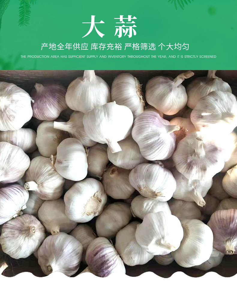 绿色.jpg