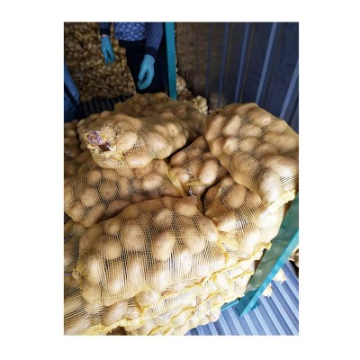 粉糯农家新鲜蔬菜土豆 山东莱芜特产黄心土豆 黄皮大土豆马铃薯