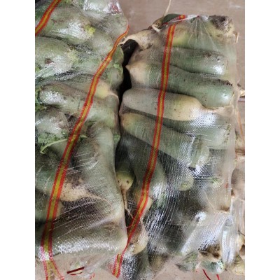 青萝卜+水果萝卜 +萝卜干 鲜萝卜丝 咸菜 饺子馅 菜丸子价格优惠图5