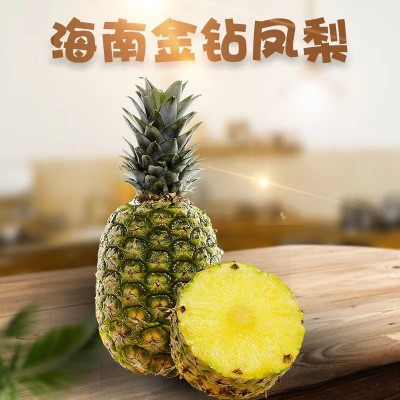 一件代发海南金钻凤梨9斤当季新鲜无眼凤梨酸甜爽口热带水果图5