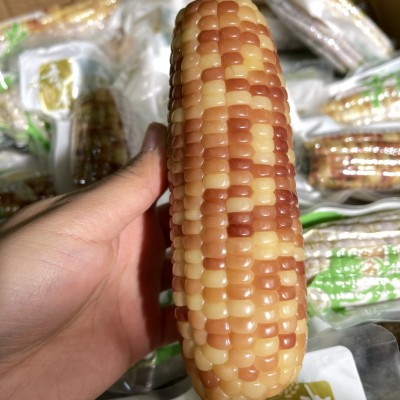 云南香糯小玉米独立包装早餐蒸煮粗粮地方特产食品一件代发图2