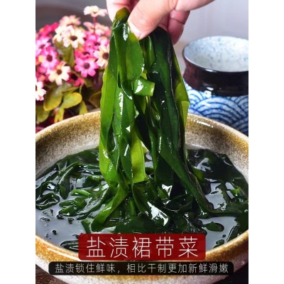 盐渍裙带菜一箱半干货盐渍海白菜新鲜火锅食材