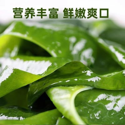 盐渍裙带菜一箱半干货盐渍海白菜新鲜火锅食材图2