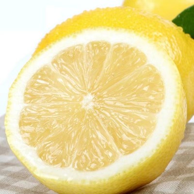 果园批发1斤新鲜安岳黄柠檬当季水果皮薄多汁大果非柠檬干图3