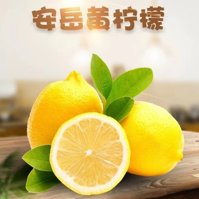 果园批发1斤新鲜安岳黄柠檬当季水果皮薄多汁大果非柠檬干图5