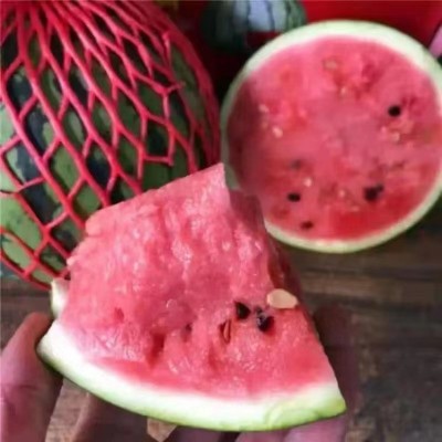 长期供应美都麒麟西瓜新鲜水果5斤现摘云南麒麟小西瓜当季沙瓤薄图2