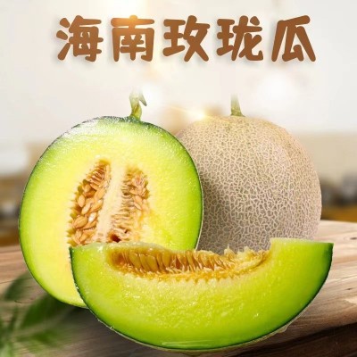 代发供应 应季头茬哈密网纹瓜 多汁新鲜大甜瓜 海南玫珑甜瓜图2