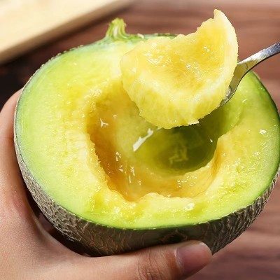 代发供应 应季头茬哈密网纹瓜 多汁新鲜大甜瓜 海南玫珑甜瓜图4