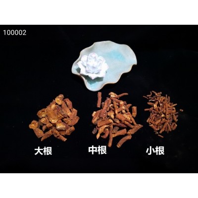 长白山蒲公英根 吉林产地蒲公英熟根手工炒制 婆婆丁根图5