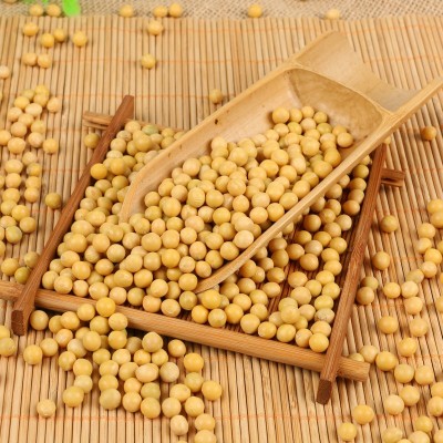批发东北大豆 黑龙江 50千克起批图2